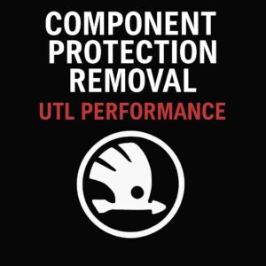 skoda component protection